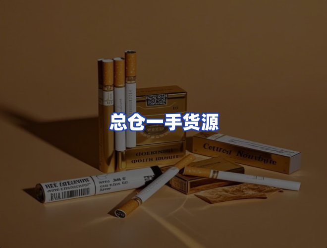专业团队